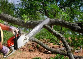 Best Soil Testing and Treatment  in Vinings, GA