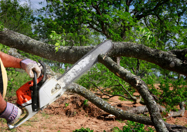 Best Utility Line Clearance  in Vinings, GA